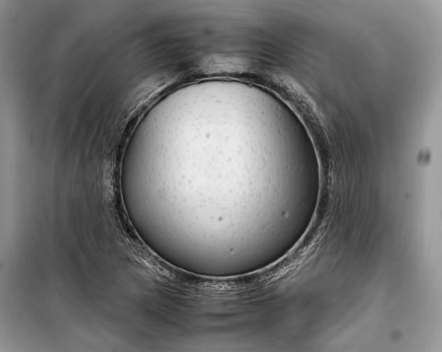 X0000099311217200805161405