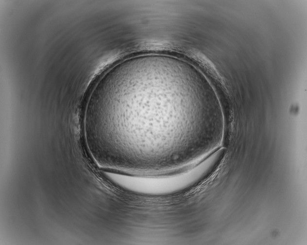 X0000099311218200805161405