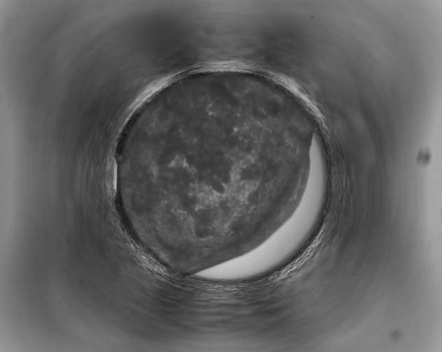 X0000099311221200805161405