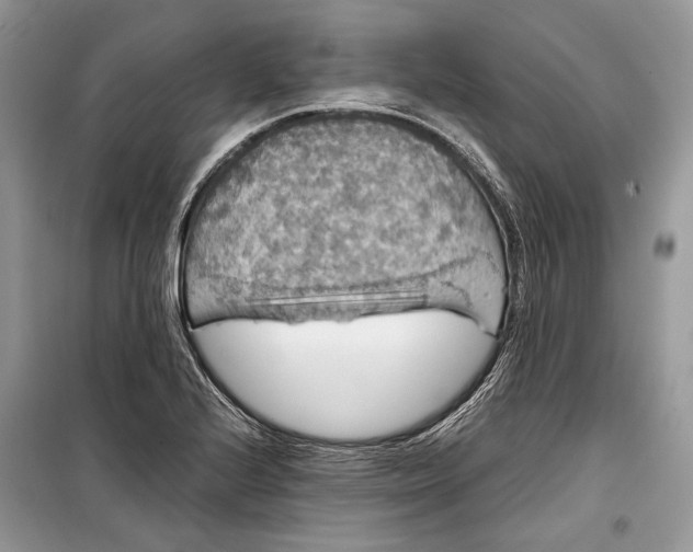 X0000099311224200805161405