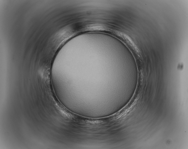 X0000099311225200805161405