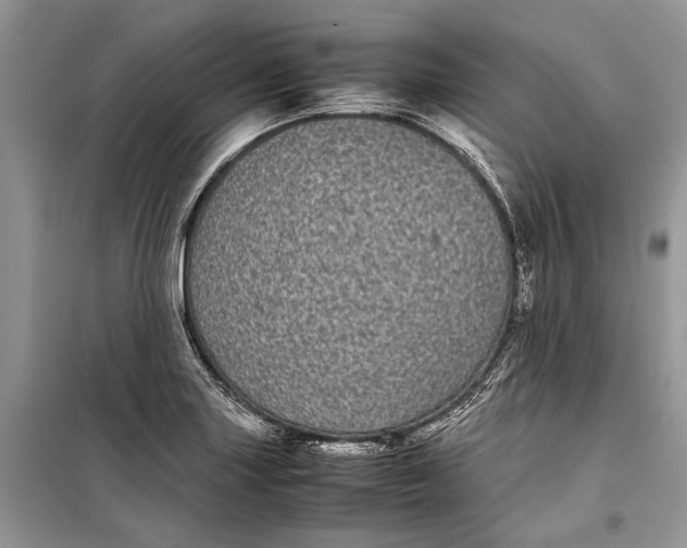 X0000099311227200805161405