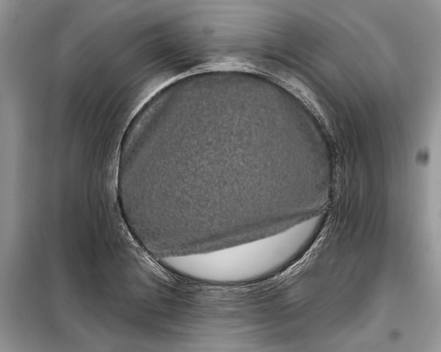 X0000099311228200805161405