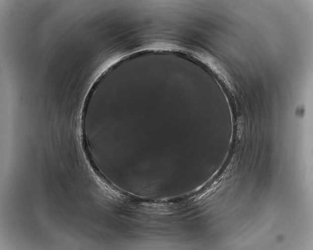 X0000099311229200805161405