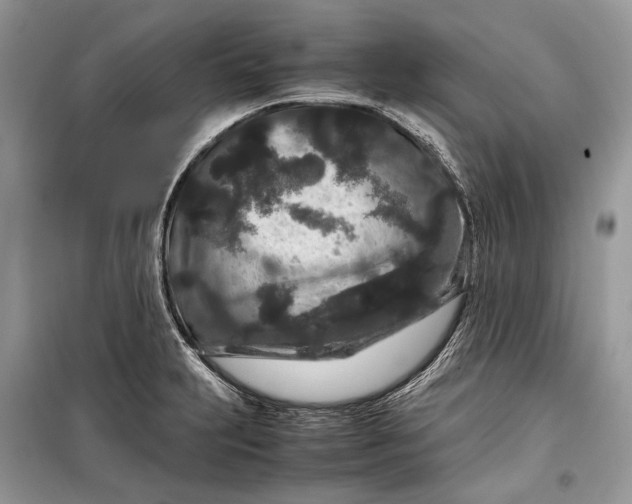 X0000099311231200805161405