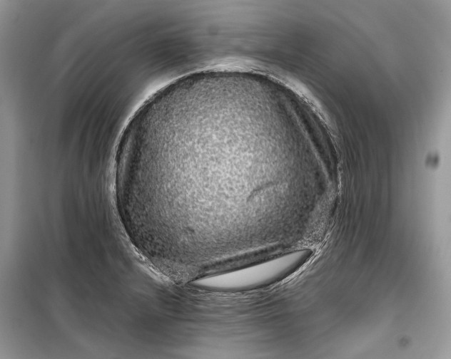 X0000099311232200805161405