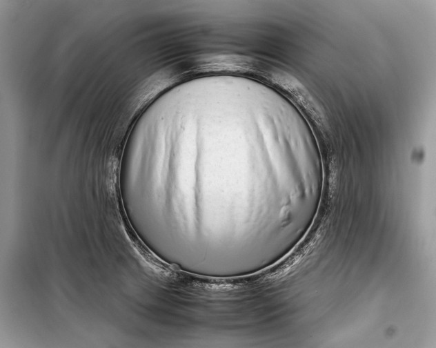 X0000099311233200805161405