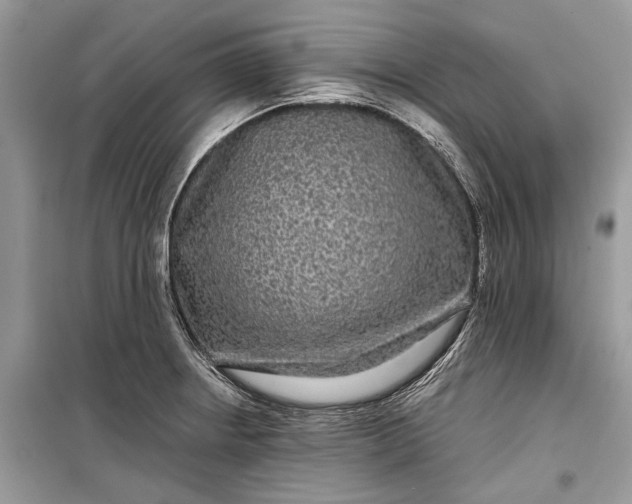 X0000099311234200805161405