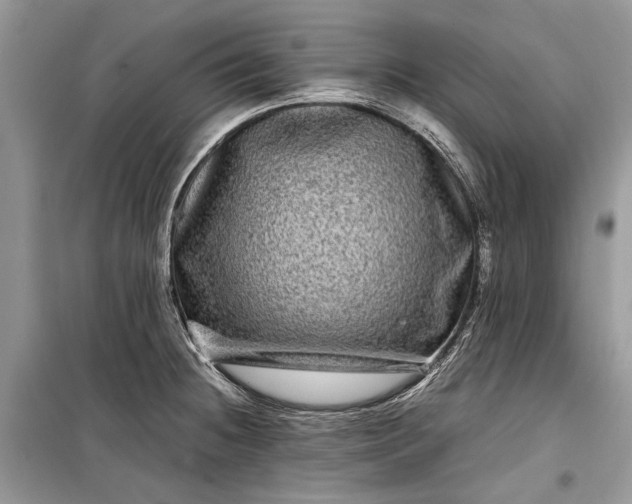 X0000099311236200805161405