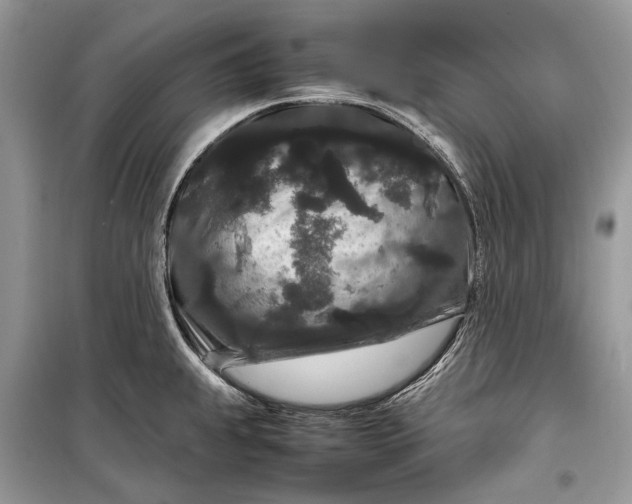 X0000099311239200805161405