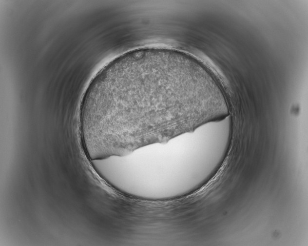 X0000099311240200805161405