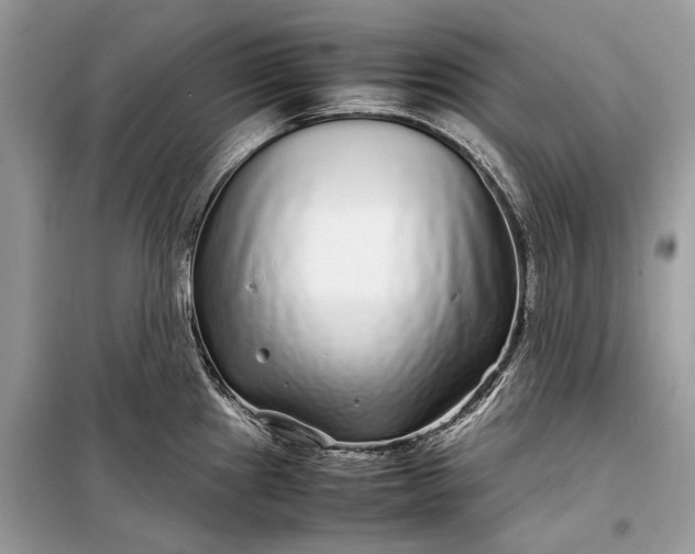 X0000099311241200805161405