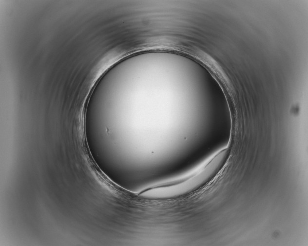 X0000099311242200805161405