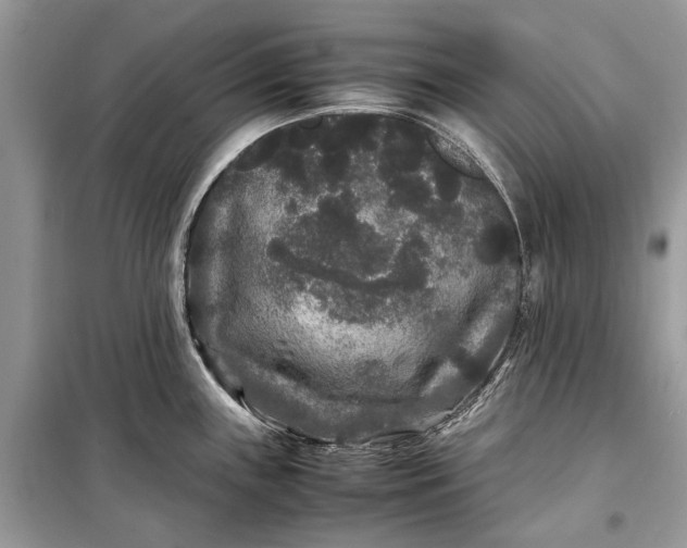 X0000099311243200805161405