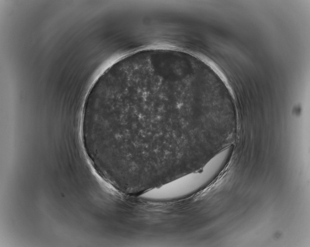 X0000099311245200805161405