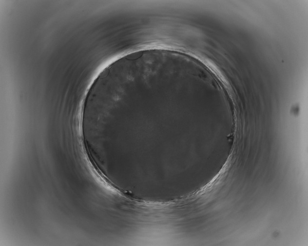 X0000099311246200805161405