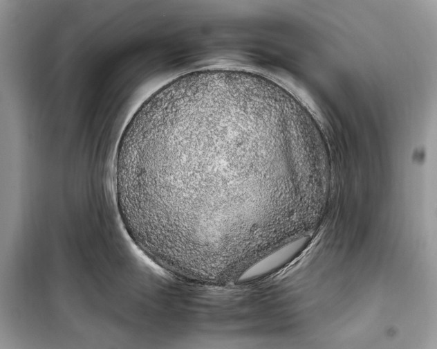 X0000099311247200805161405