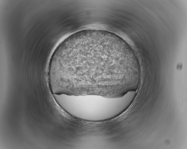 X0000099311248200805161405