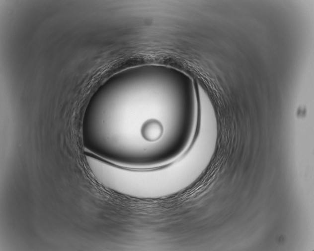 X0000099311249200805161404