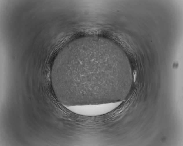 X0000099311251200805161404