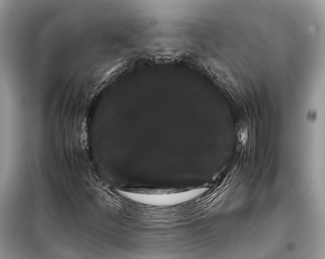 X0000099311252200805161404