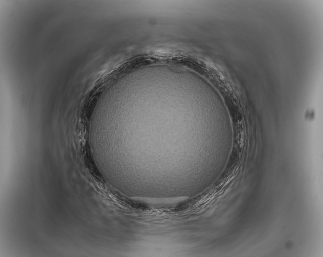 X0000099311253200805161404