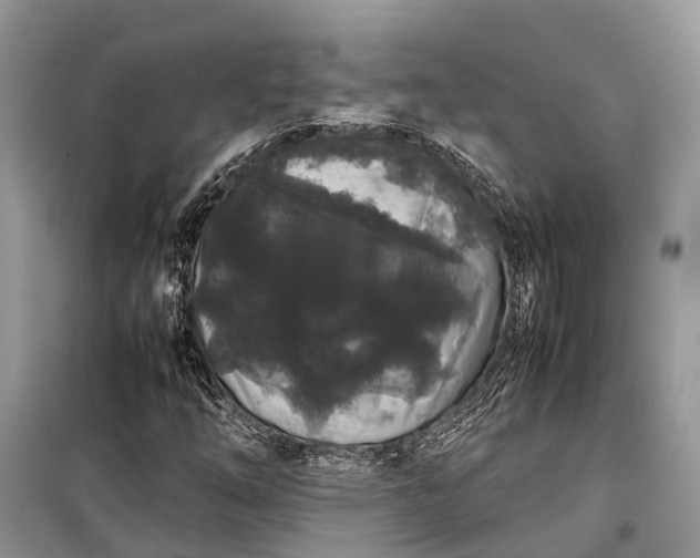 X0000099311254200805161404