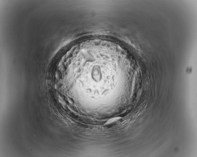 X0000099311255200805161404