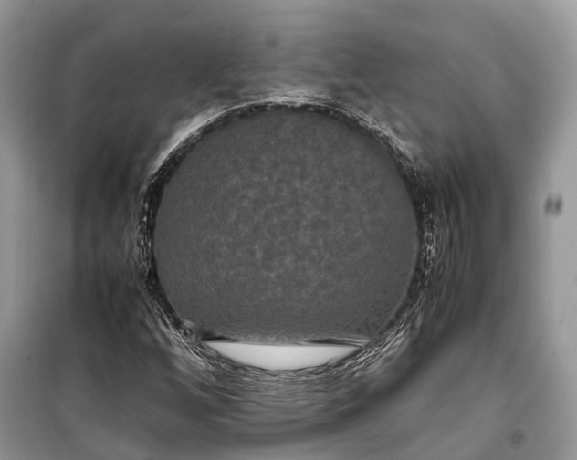 X0000099311256200805161404