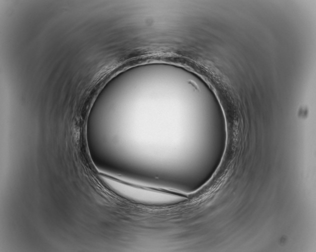 X0000099311257200805161404