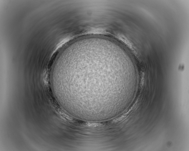 X0000099311258200805161404