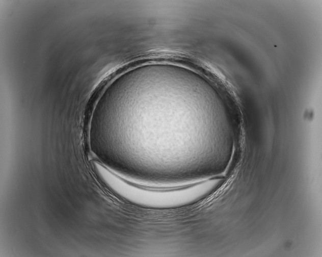 X0000099311259200805161404