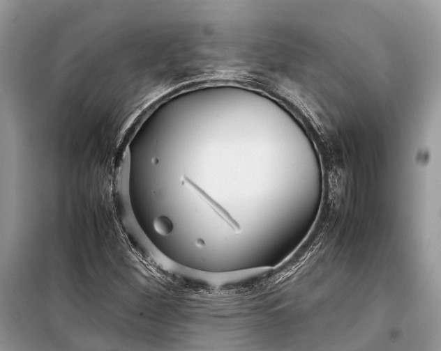 X0000099311260200805161404