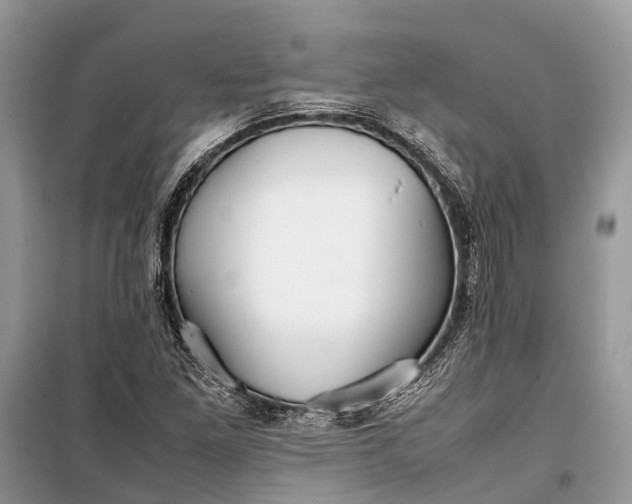 X0000099311261200805161404