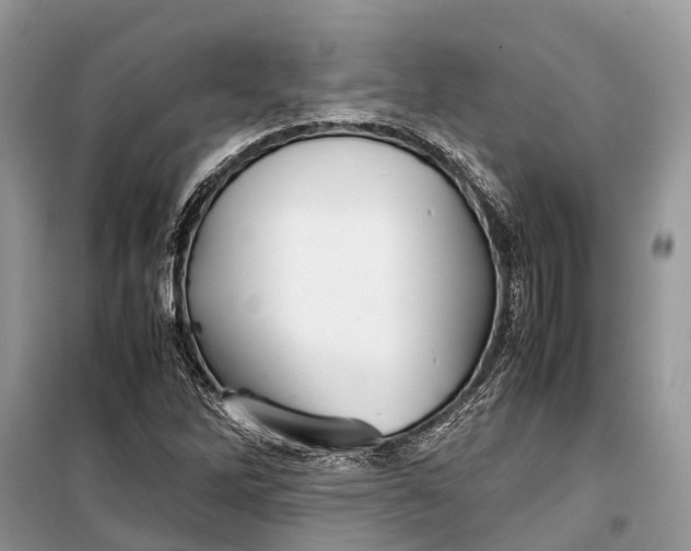 X0000099311262200805161404