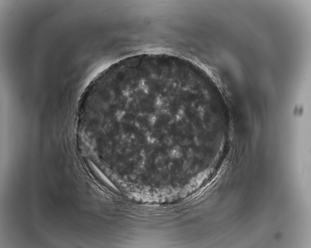 X0000099311263200805161404