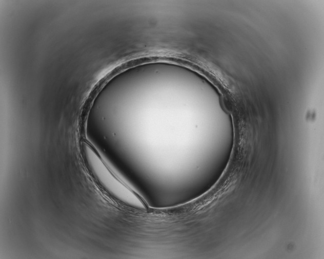 X0000099311264200805161404