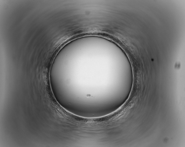 X0000099311265200805161404