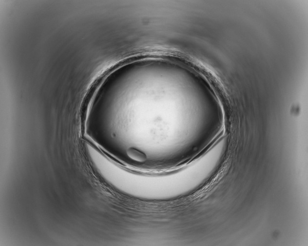 X0000099311267200805161404