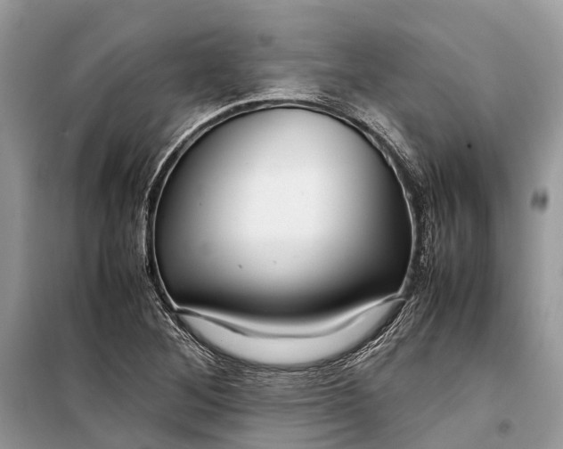 X0000099311268200805161404