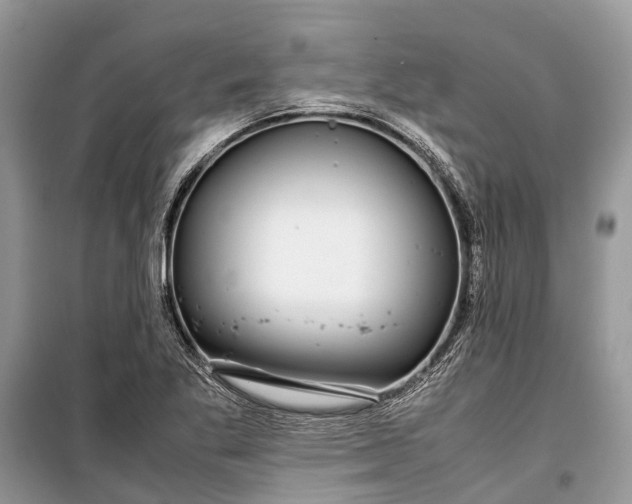 X0000099311269200805161404