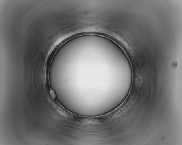 X0000099311270200805161404