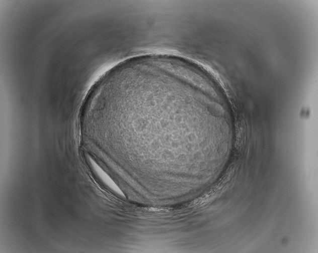 X0000099311271200805161404