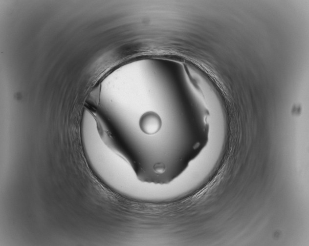 X0000099311273200805161404