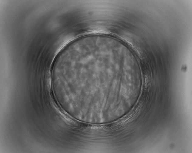 X0000099311274200805161404