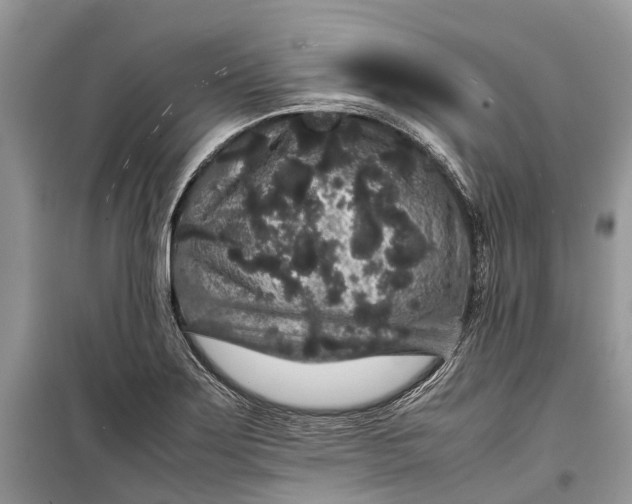 X0000099311275200805161404