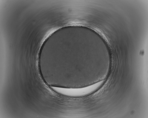 X0000099311277200805161404