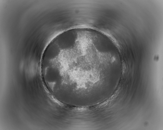 X0000099311278200805161404