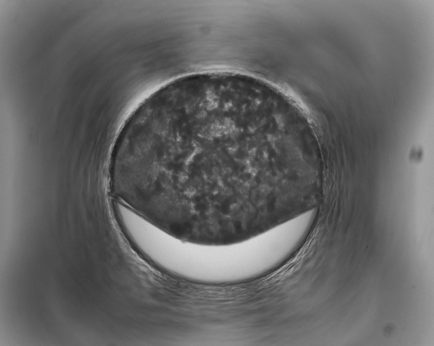 X0000099311279200805161404