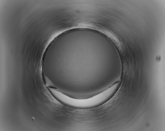 X0000099311280200805161404